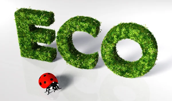 Ladybirds with eco text — Stok fotoğraf