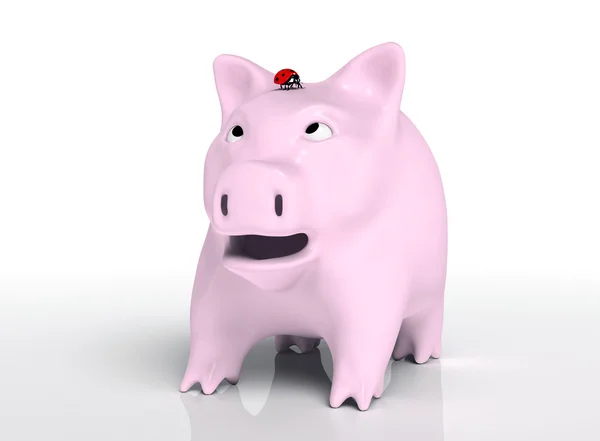 Banco porquinho surpreso com joaninha na cabeça — Fotografia de Stock