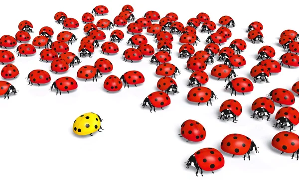 Yellow ladybird is marginalized — Stock Photo, Image