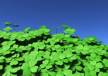 Group of four-leaf clovers clipart