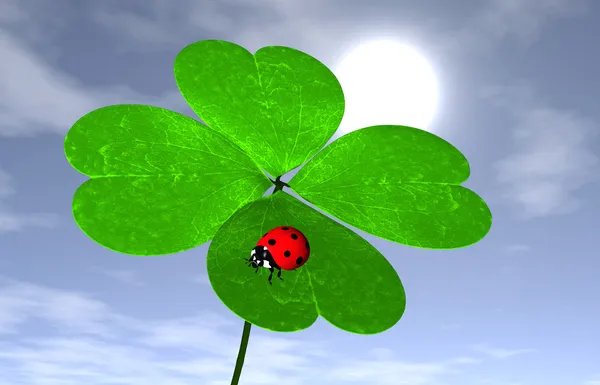 Ladybird on a four-leaves clover — Stock Photo, Image