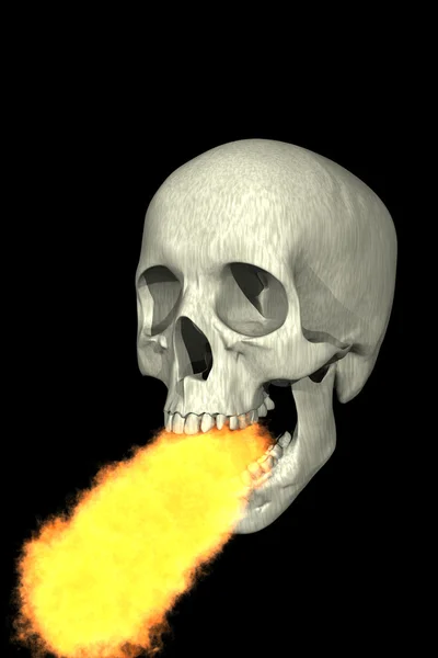 Skull on Fire — Stock Photo, Image