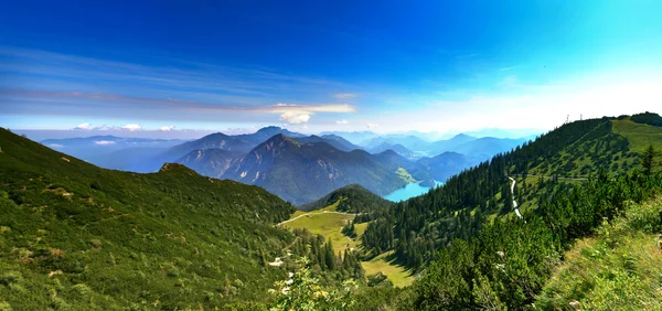 Bavyera Alpleri