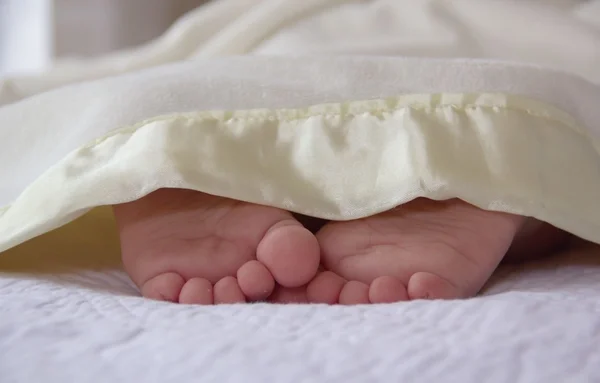 Little baby's feet under the blanket — Stock Photo, Image