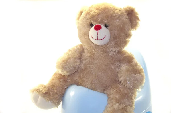 Медведь Тедди на горшок изолирован на белом фоне — стоковое фото