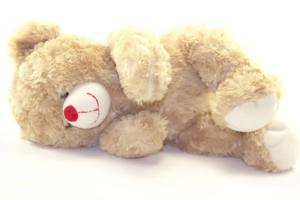 Cute teddy bear liegt geïsoleerd op wit — Stockfoto