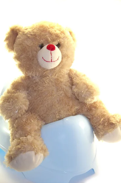 泰迪熊坐在便盆隔离 免版税图库图片