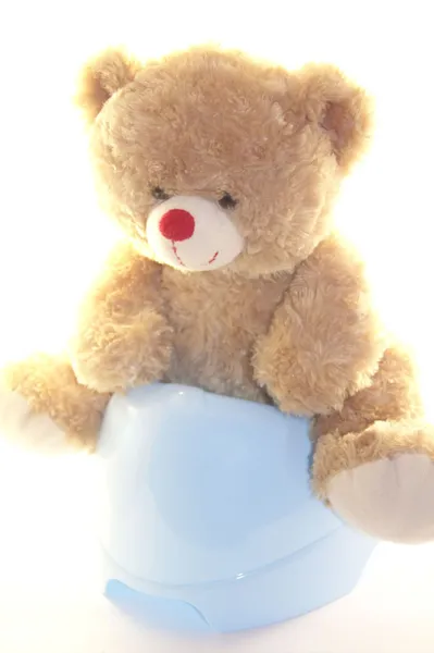 Teddy bear is sitting on the blue potty Stock Picture