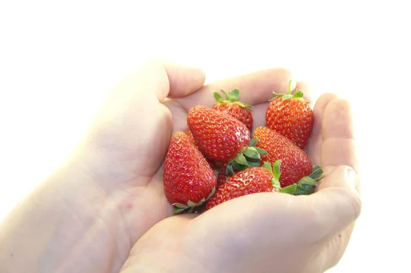 Frische köstliche Beeren in den Händen auf weißem Hintergrund — Stockfoto