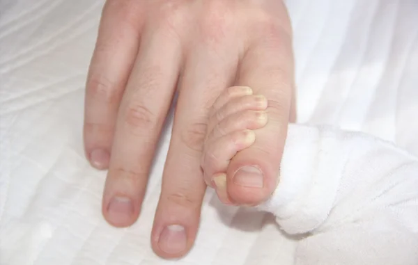 Linda mano diminuta del bebé recién nacido sostiene un dedo grande — Foto de Stock
