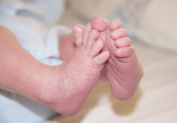 Pequenos pés de bebê recém-nascido — Fotografia de Stock