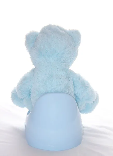 Teddy bear is sitting on the blue potty — Stock Photo, Image