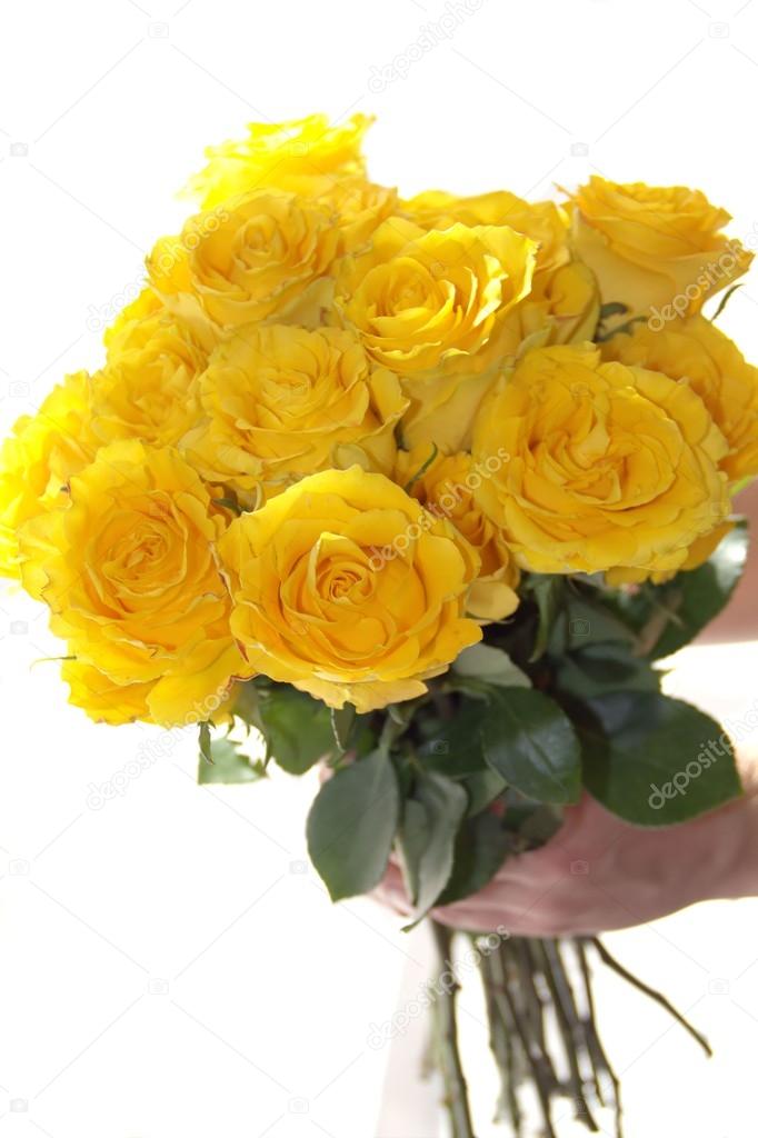 Yellow rose flower bouquet in the hand — Stock Photo © SailanaLNT 28258795