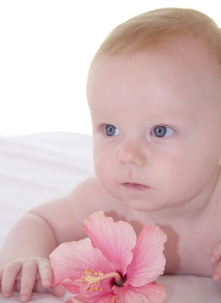 Adorable baby with beautiful pink flower — Stock Photo, Image