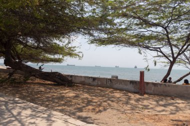 Santa Marta havaalanı sahili. İki küçük ağacın ortasında. Kıyıdan çok uzakta büyük gemileri olan bir araba. 