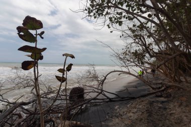 Atlantik Okyanusu yakınlarındaki Palomino plaj manzarası.