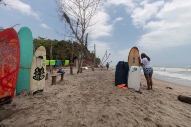 Sörf tahtaları kumsala kiralanır. Arka planda güneşli bir gün olur.