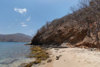 Küçük çalıları ve açık mavi denizi olan kayalık bir sahil.