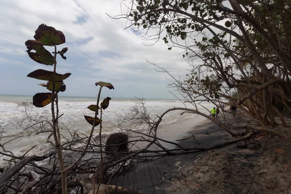 Atlantik Okyanusu yakınlarındaki Palomino plaj manzarası.