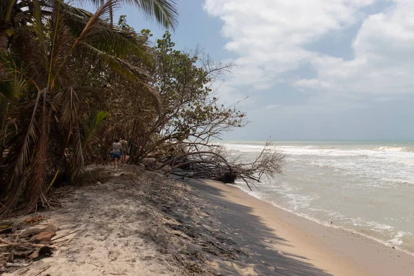Kolombiya Palomino plajı. Arka planda bitki örtüsü ve mavi gökyüzü var.
