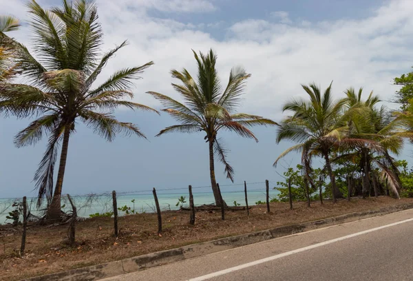 Kolombiya güneş yolu otoyolu manzarası bir otobüsten görülüyor. 