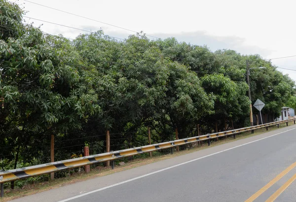 Ruta Del Sol Colombiana Carretera Vista Desde Autobús Con Vegetación — Foto de Stock