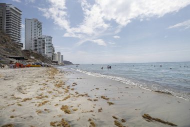 Santa Marta, COLOMBIA - Turist ve yerleşim birimleriyle gün ortasında gökdelenlerin olduğu rodadero plajının yaz manzarası