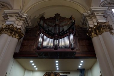 primatial cathedral antique organ