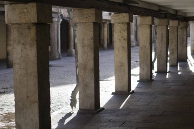 Main street columns with dragon head gutter end in sunny day