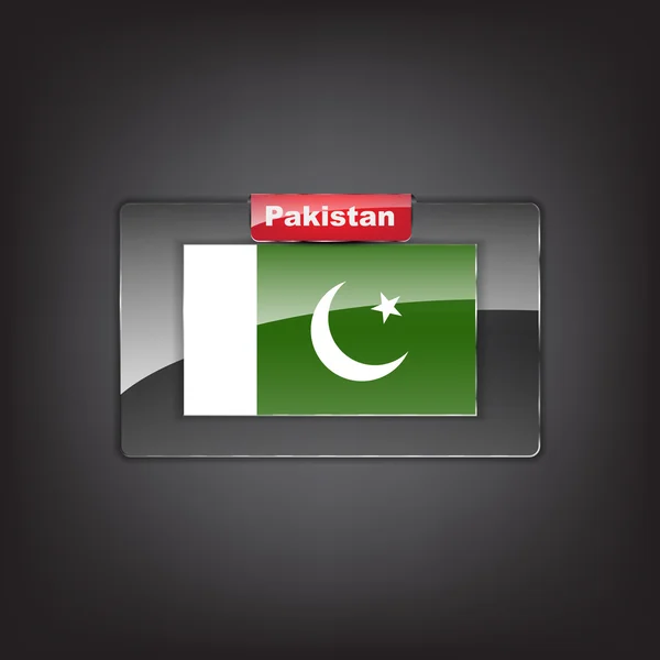 Glasknopf der Flagge von Pakistan — Stockvektor