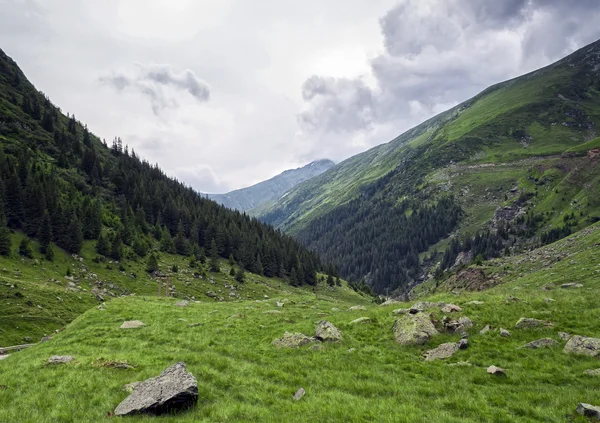 Красиві гори пейзаж у Карпатський — стокове фото