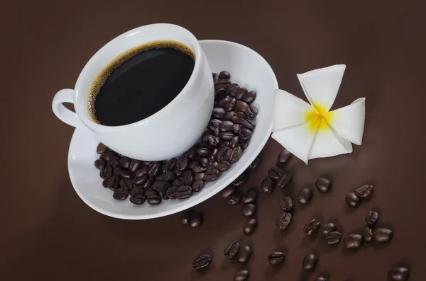 Café och blomma — Stockfoto