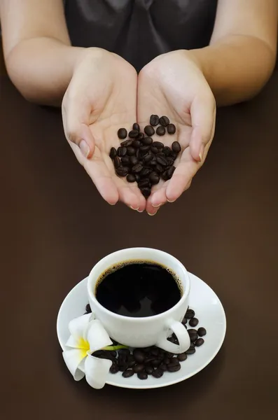 Porträtt av kaffe utsäde — Stockfoto