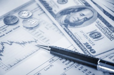 finansal rapor