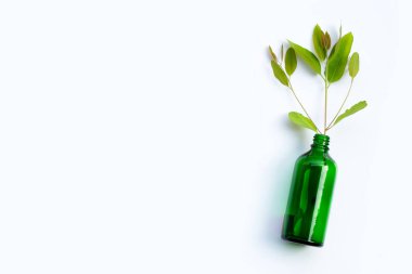Okaliptüs yaprakları beyaz arka planda yeşil şişede..