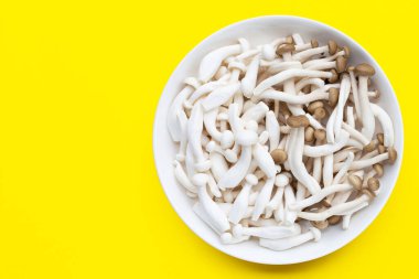 Beyaz ve kahverengi kayın mantarları, Shimeji mantarı, sarı arka planda yenilebilir mantar..