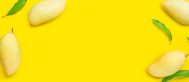 Tropik meyveden yapılmış çerçeve, sarı arka planda mango. Üst görünüm