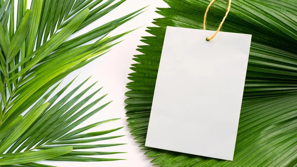 Papel Branco Folhas Secas Palma Tropical Espaço Cópia — Fotografia de Stock