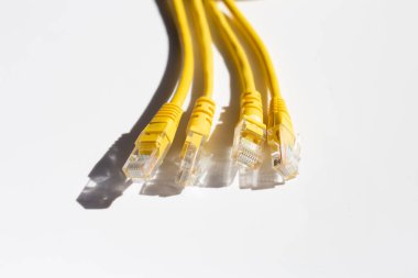 Beyaz üzerine LAN ağ bağlantısı ethernet sarı kablolar