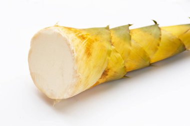 Beyaz arka planda bambu filizleri.