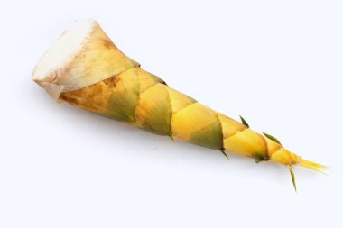 Beyaz arka planda bambu filizleri.