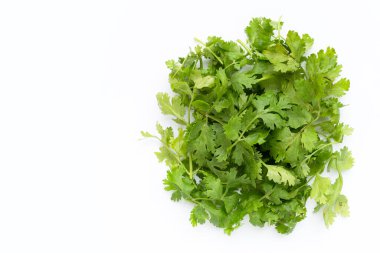 Beyaz arkaplanda taze kişniş yaprakları.