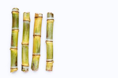 Beyaz zemin üzerine şeker kamışı.