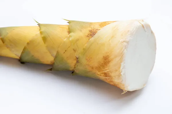 Brote Bambú Sobre Fondo Blanco — Foto de Stock