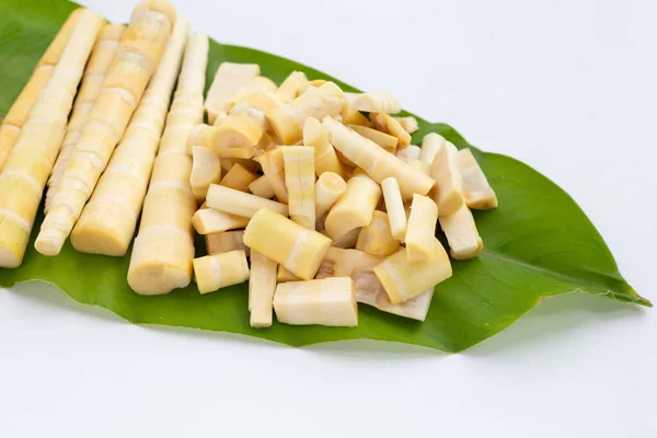 Brotes Bambú Sobre Hoja Verde Sobre Fondo Blanco —  Fotos de Stock