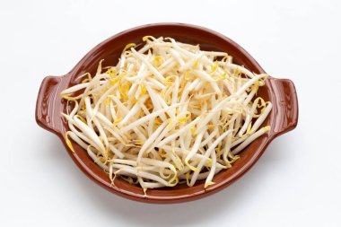 Kahverengi kasede beyaz arka planda fasulye filizleri