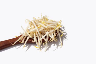 Beyaz Arkaplanda Fasulye Filizleri