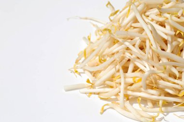 Beyaz Arkaplanda Fasulye Filizleri