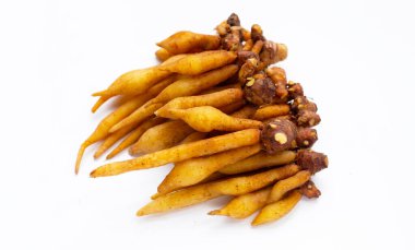 Beyaz arkaplanda parmak kökü.