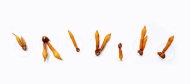 Beyaz arkaplanda parmak kökü.